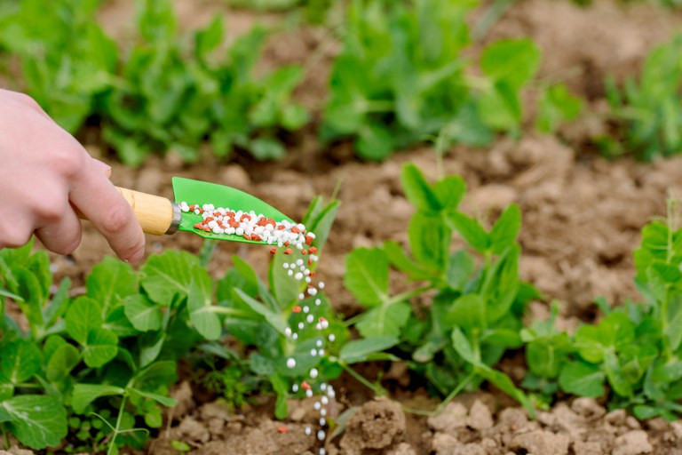 fertilizantes