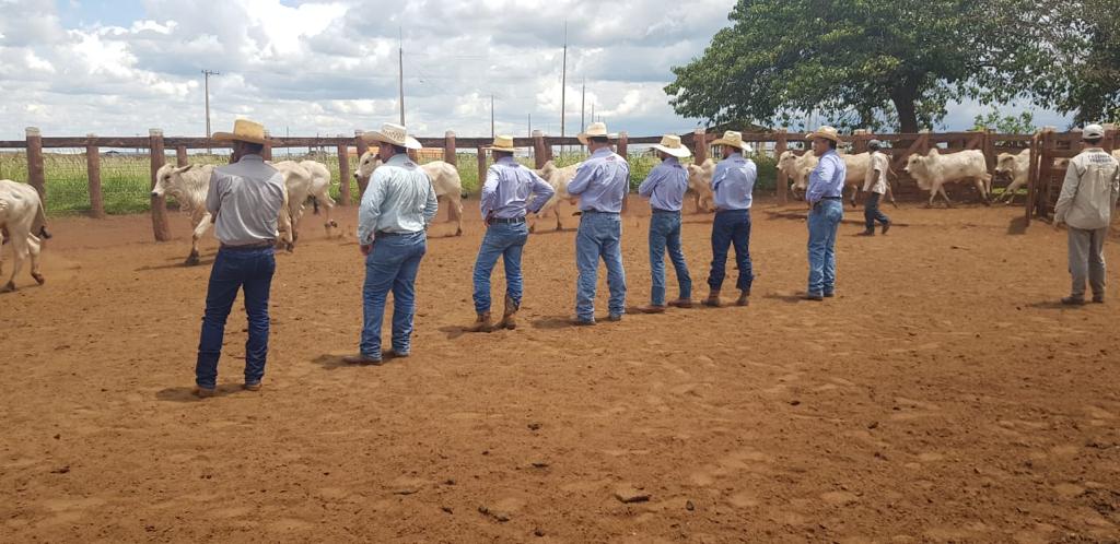 Treinamento de equipes da fazenda. Foto: Divulgação