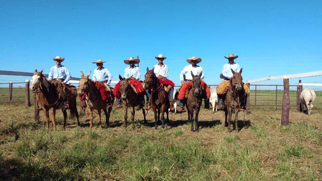Gestão de pessoas na fazenda teoria e prática. Foto: Divulgação