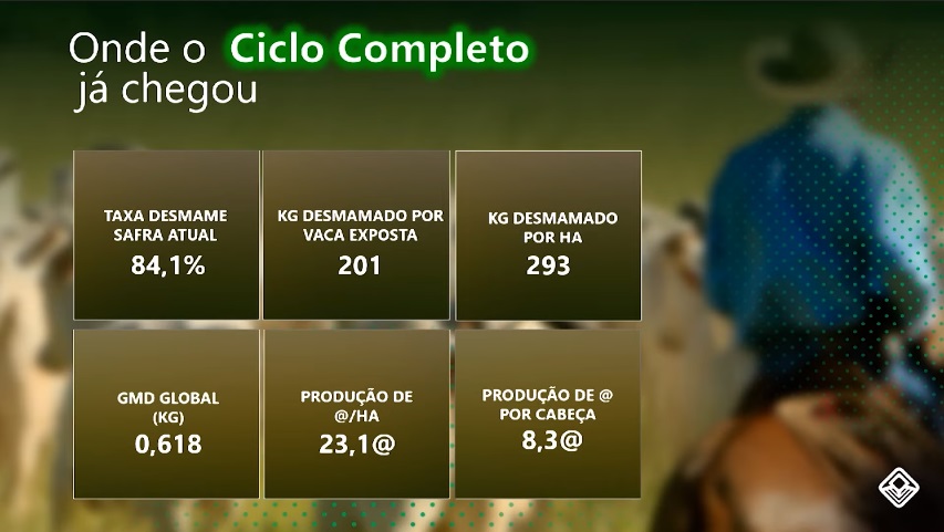índices de produtividade da pecuária de ciclo completo no brasil em 2022