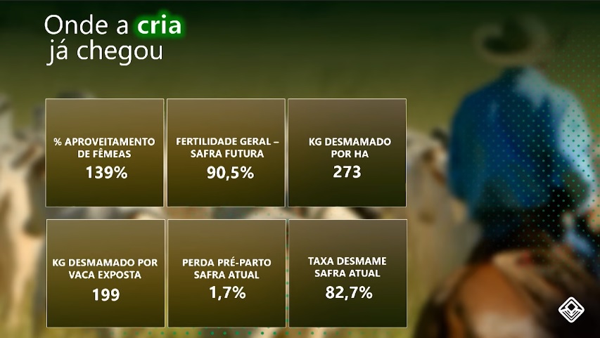 índices de produtividade da pecuária cria no brasil em 2022
