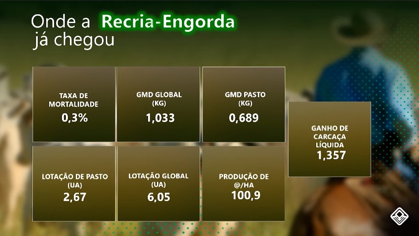 índices de produtividade da pecuária de recria e engorda no brasil em 2022