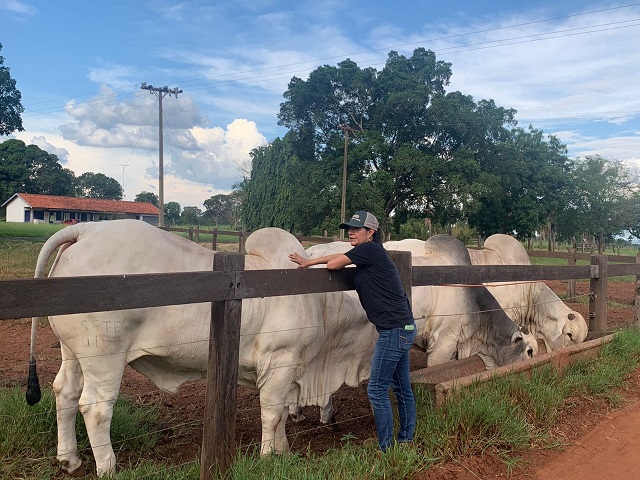 Mulheres no agro: veterinária assume unidade de ruminantes da MSD Saúde Animal