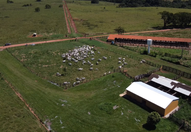 Vista aérea de um dos pólos regionais da APTA, o de Colina, que é o berço do boi 7.7.7. Foto: Reprodução