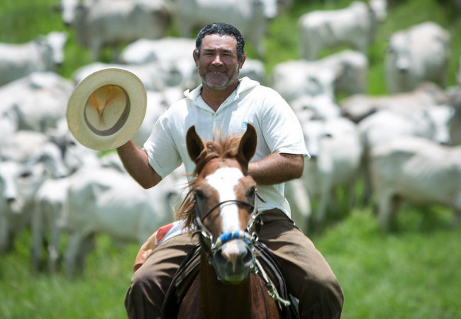 Capataz: saiba por que a função é fundamental para uma fazenda de corte