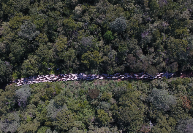 Unidades de conservação: o que são e quais restrições trazem para o agro?