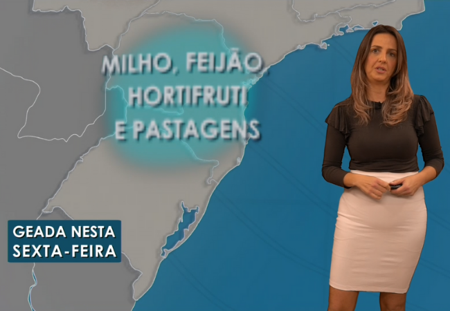 Geadas podem atingir pastos e lavouras na região Sul 