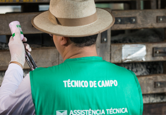 Saiba quais são as atribuições e a importância do trabalho de médicos veterinários no País