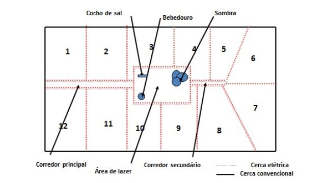 ilustração de um modelo de área de alimentação para bovinos de corte