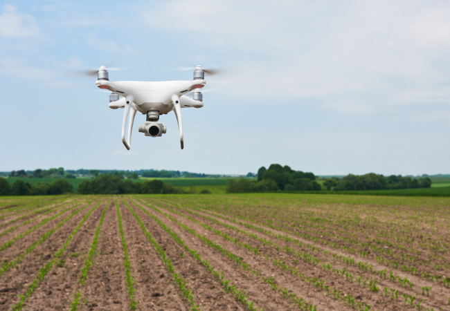 Drone