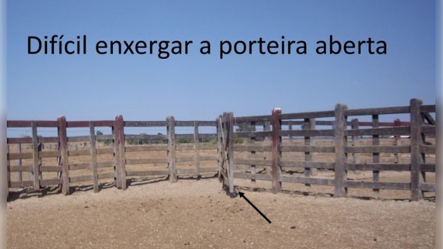 Cercas no curral: para nós há uma abertura. Na visão dos bovinos o curral está fechado, por exemplo. Foto: Divulgação