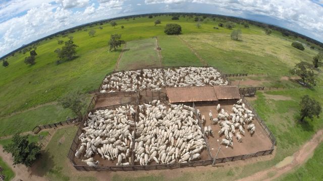 Reforma agrária: governo define novas regras