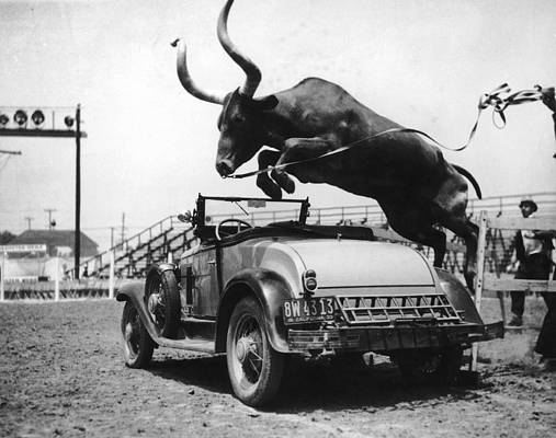 História do animal chifrudo