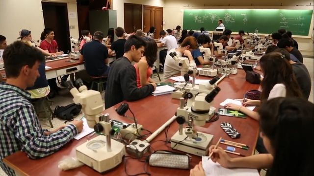Alunos em sala de aula: Esalq forma cerca de 2,3 mil estudantes por ano. Foto: Reprodução