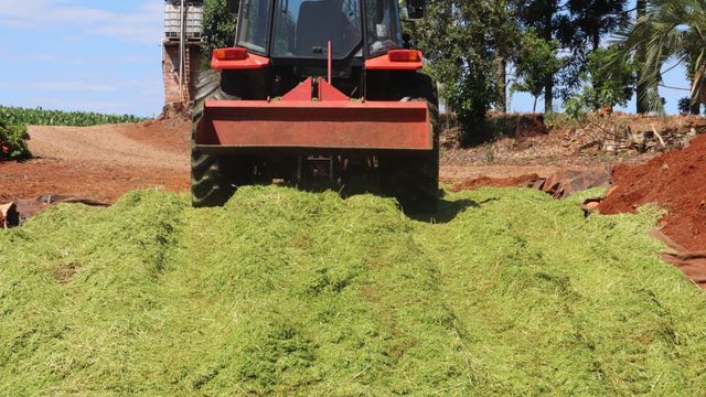 Pecuarista perde 20% da silagem que produz! Saiba como se livrar do prejuízo