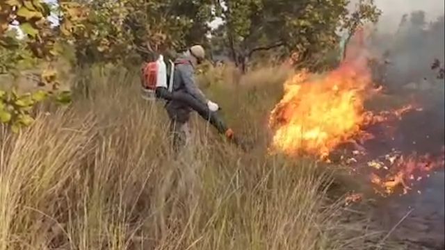 Trabalho de brigadistas no combate a incêndios na região do Pantanal. Foto: Reprodução