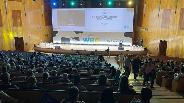 Brasil marca presença em evento de medicina de bovinos em Madri