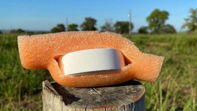 Pastilhas de cloro: saiba usá-las corretamente no bebedouro do gado