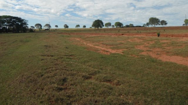 Um dos estágios mais precários de pastos no País. Foto: Divulgalção/Athenagro