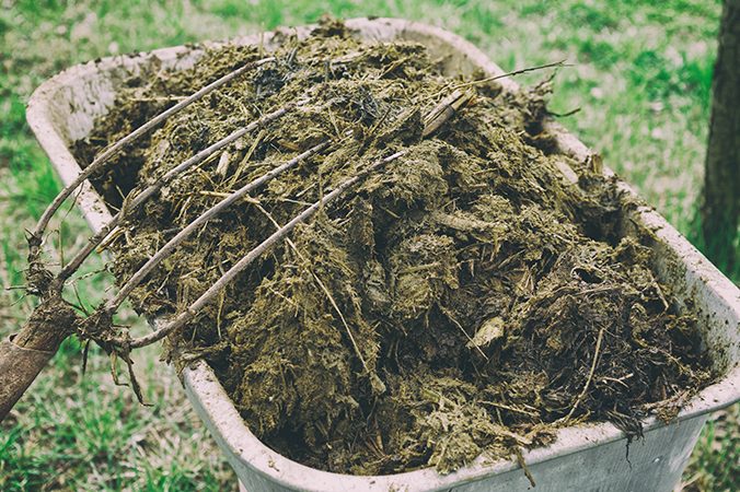 Compostagem e benefícios