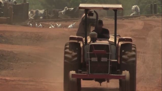 Tratorista na lida no campo. Foto: Reprodução