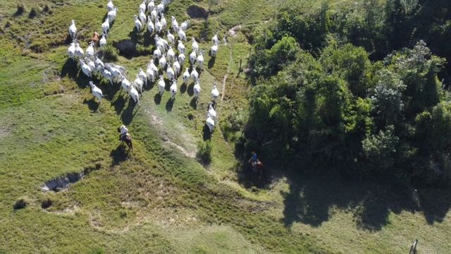 Fazenda diminui acidentes investindo em segurança do trabalho