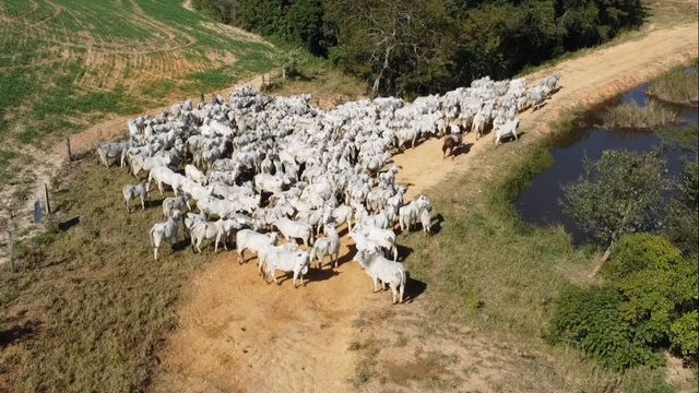Graus de eficiência e de utilização da fazenda: o que são?