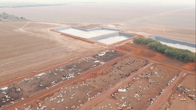 Vista aérea do confinamento da fazenda Guimarães, em Lucas de Rio Verde (MT). Foto: Reprodução