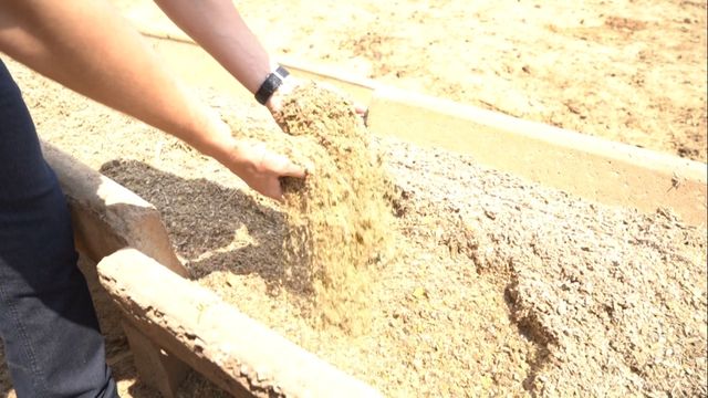 Agricultores se alegram com a expansão de boiteis pelo País