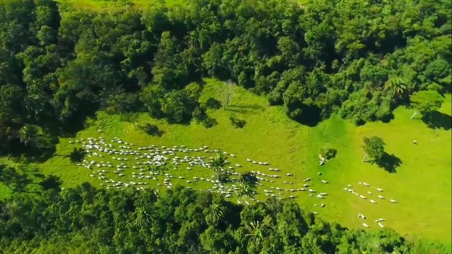 Pecuarista preserva mais do que manda a lei e ainda produz energia