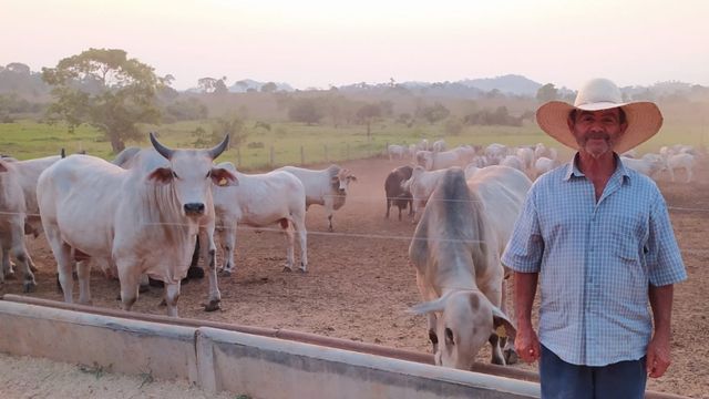 Pecuarista amplia desfrute e lucra mais com gado confinado em RO