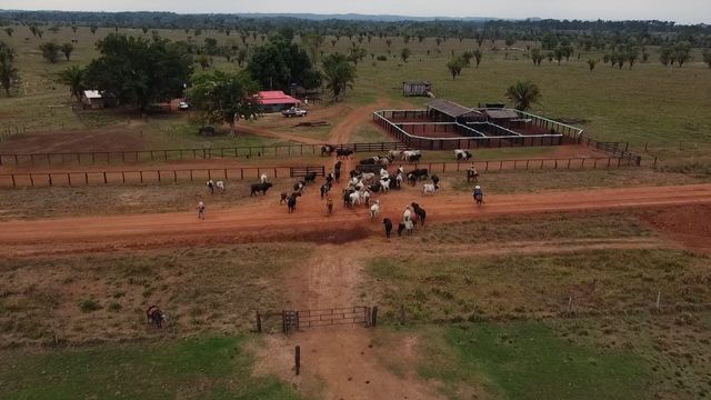 Pecuarista de Rondônia tem bons resultados em semiconfinamento