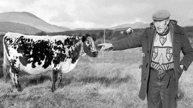 Big Bertha, a vaca mais velha do mundo, e seu antigo dono