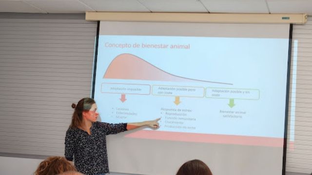 Especialistas brasileiros participam de curso em certificadora de bem-estar animal na Europa. Foto: Divulgação