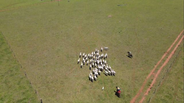 Imagens aéreas da fazenda Rayanara uma das integrantes do Fazenda Nota 10. Foto: Reprodução
