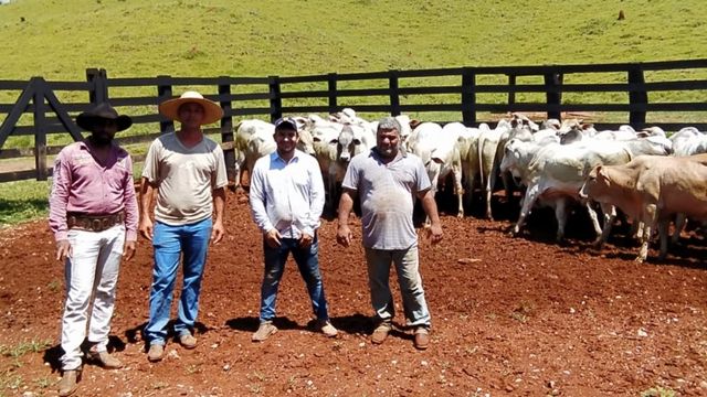 Produtor e equipe da fazenda Buracão das Araras. Foto: Matheus Roz