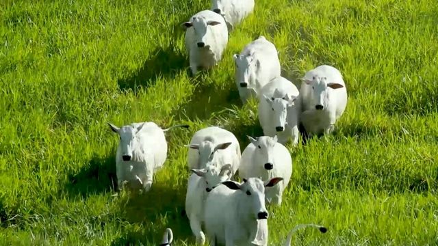 Crédito rural ganha mais tração no País com nova CPR “3.0”. Saiba como acessar