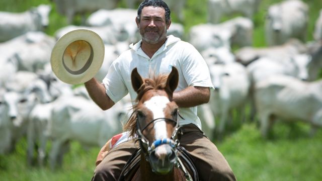 Meritocracia: saiba como ela pode transformar a produtividade na fazenda