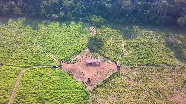 Quanto mais dividir o pasto, mais gado vai caber na fazenda