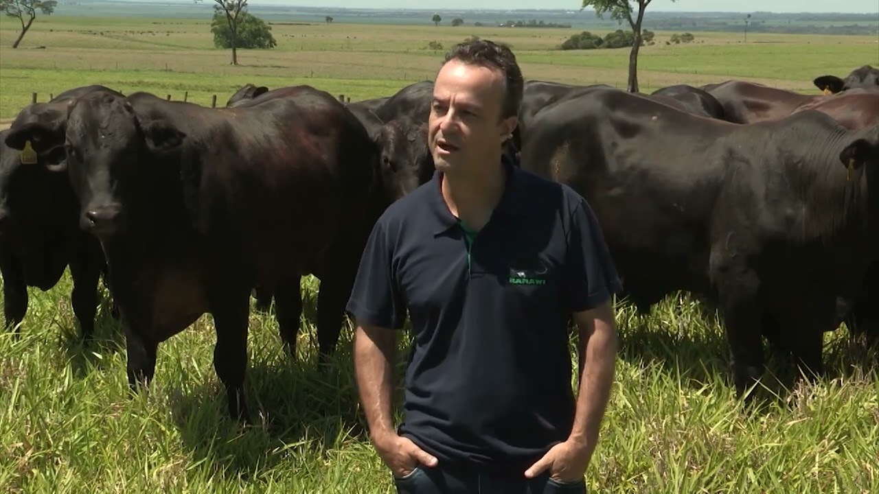 Rodrigo Oliveira, um dos sócios da Agropecuária Ramawi. Foto: Reprodução