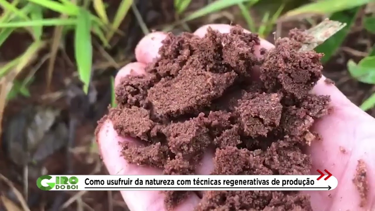 Pó de rocha pode turbinar a produção de carne e grãos