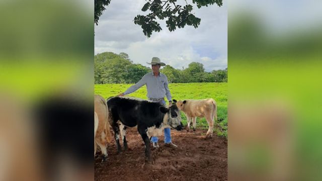 O pecuarista Renato Pimenta com exemplares da raça Speckle Park em sua fazenda. Foto: Divulgação/Speckle Park Brasil