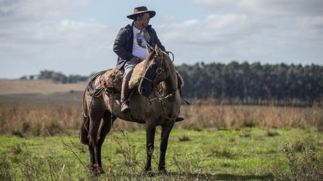 Cavalo: atenção à saúde e nutrição assegura mercado de R$ 16 bilhões no País Cavalo: atenção à saúde e nutrição assegura mercado de R$ 16 bilhões no País