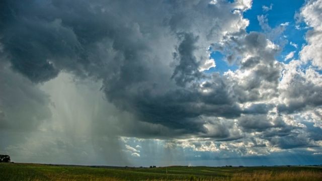 Como fica o ritmo de chuvas em áreas de pasto na semana Como fica o ritmo de chuvas em áreas de pasto na semana