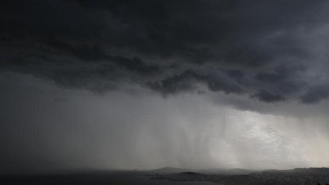 Chuvas elevam o nível de umidade do solo em áreas de pecuária. Saiba onde