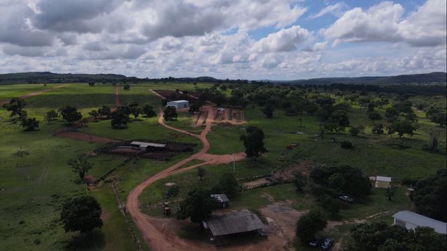 Sucessão familiar no campo: especialista revela como proteger a família e o patrimônio