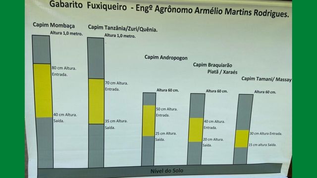 Detaque para os tamanhos ideiais do fuxiqueiro por tipo de capim. Foto: Armélio Martins
