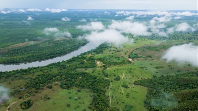 Água Viva: fazenda é campeã por aliar boi a pasto, lavoura e áreas de preservação