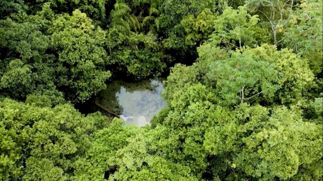 Imagem aérea da nascente com fervedouro na fazenda Água Viva. Foto: Reprodução