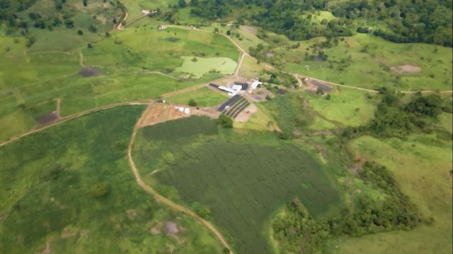 Multa ambiental baseada só em imagens de satélite? Saiba como recorrer